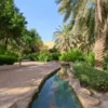 Riyadh’s Green Oasis