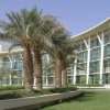 alfaisal university