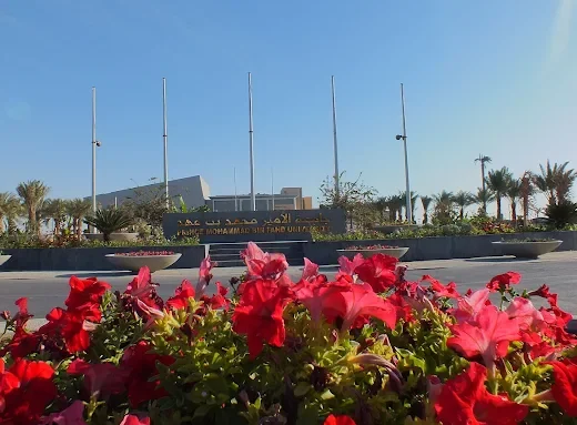 Prince Mohammad Bin Fahd University جامعة الأمير محمد بن فهد