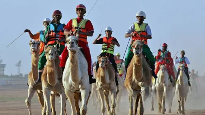 Janadriyah Festival Activities for everyone