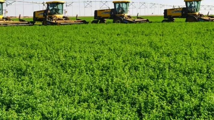 Saudi Agricultural Development Company