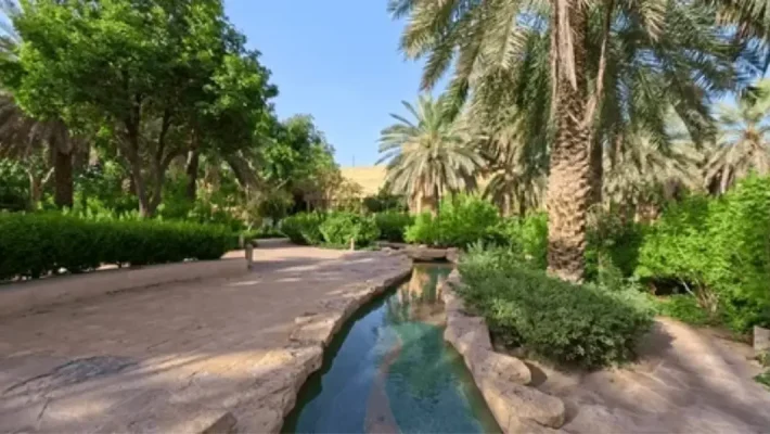 Riyadh’s Green Oasis